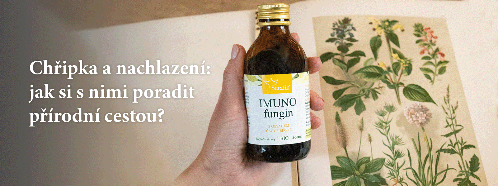 To nejlepší ze Serafinu | Serafin byliny