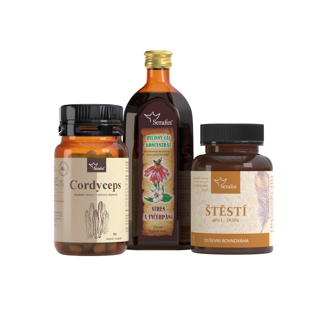 Psychika a energie | Serafin byliny