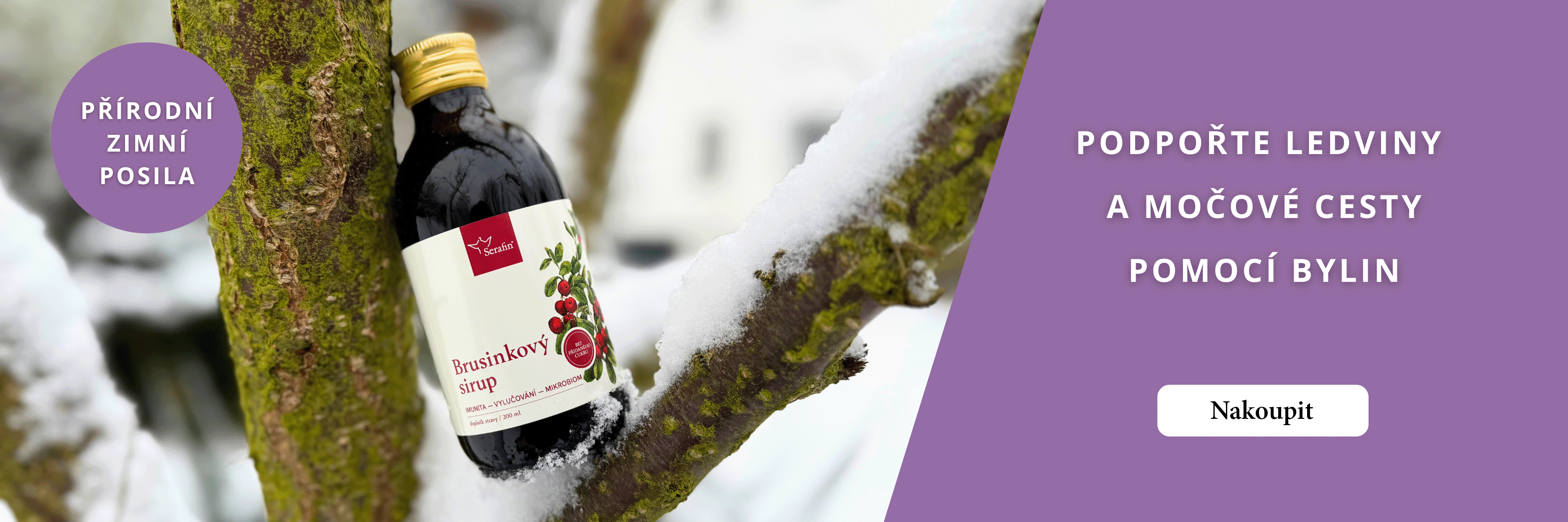 Ledviny a močové cesty 02/26 banerový obrázek | Serafin byliny