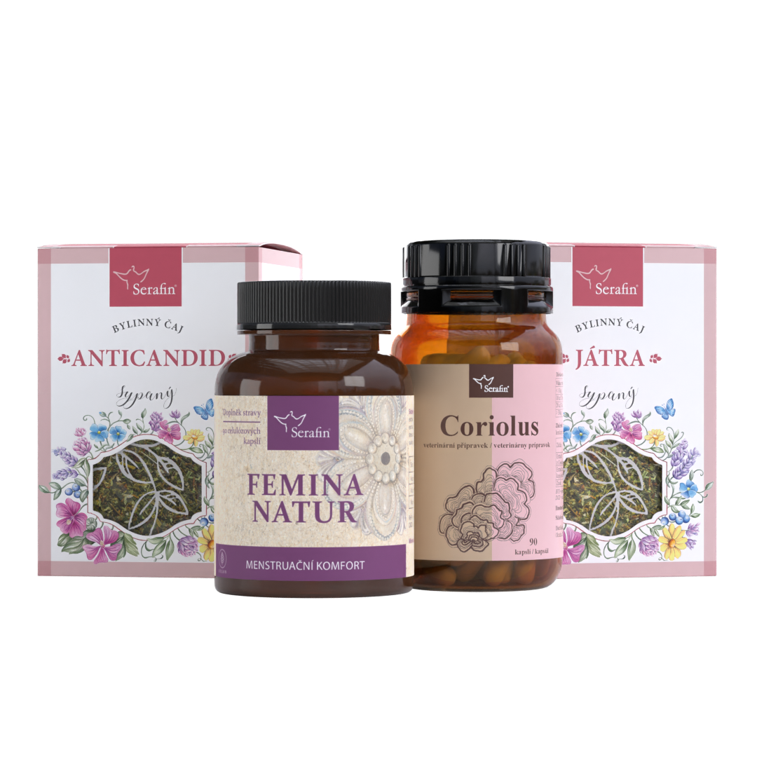 Děloha | Serafin byliny