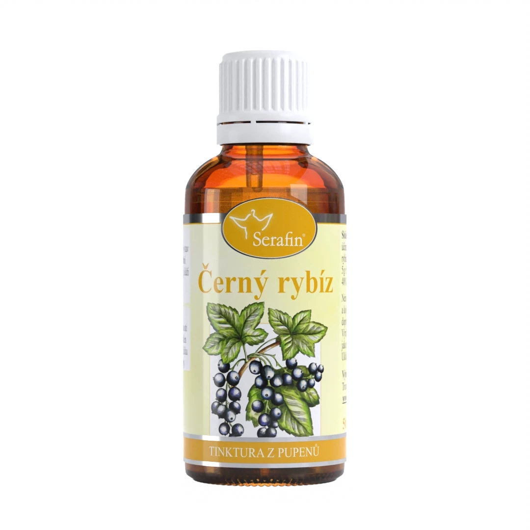 Černý rybíz – tinktura z pupenů | Serafin byliny