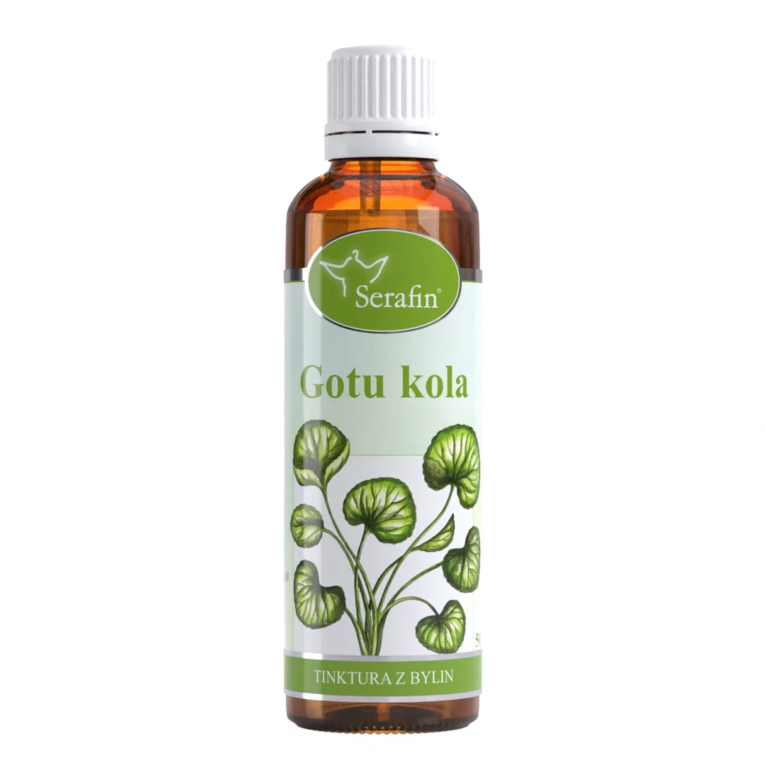 Gotukola – tinktura z bylin | Serafin byliny