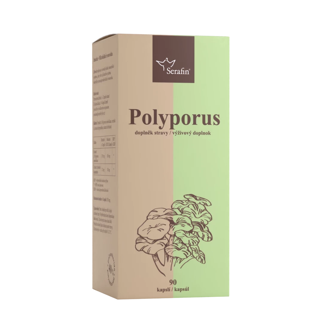 Polyporus | Serafin byliny