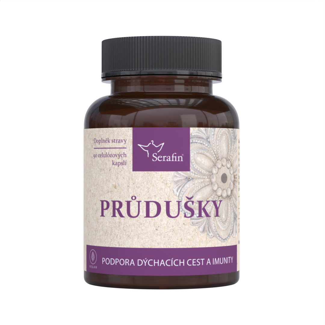 Průdušky | Serafin byliny