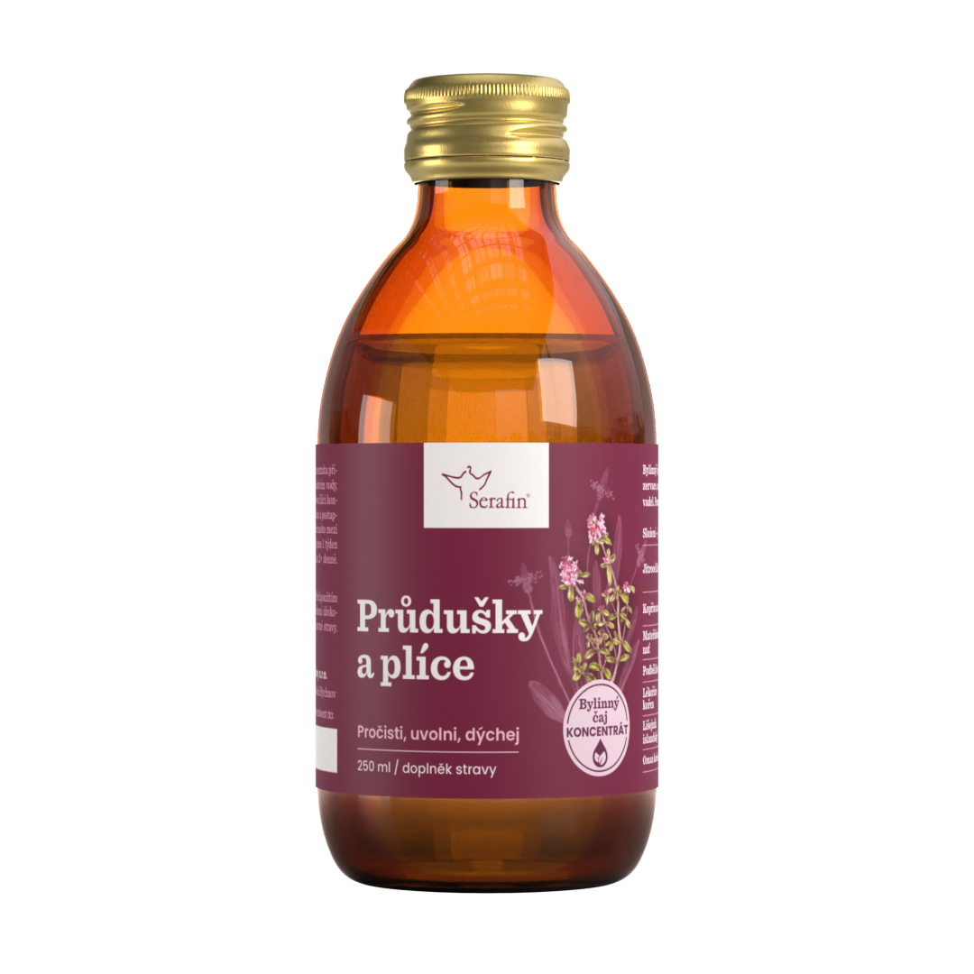 Průdušky a plíce | Serafin byliny